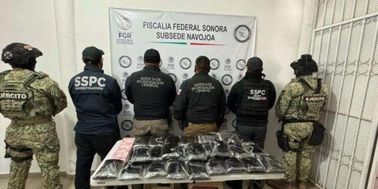 “Exportan” fentanilo ¡en cajas de nopales!