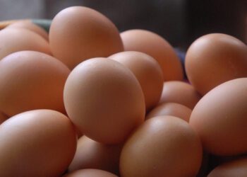 ¡Sin huevos Estados Unidos! Aumenta su contrabando ante el alza de precios por la gripe aviar