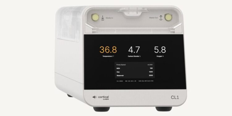 Cortical Labs lanza el primer ordenador biológico del mundo