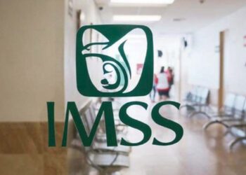 Seguro voluntario del IMSS cuesta hasta 21 mil 800 pesos por un año; te decimos los requisitos