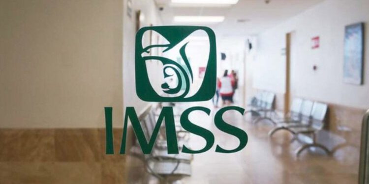 Seguro voluntario del IMSS cuesta hasta 21 mil 800 pesos por un año; te decimos los requisitos