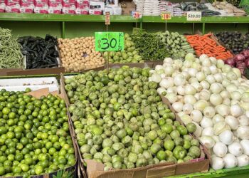 ¿Comer frutas y verduras? ¡Están muy caras!; suben 17% en un año