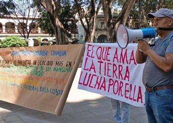 En el caso de playa Aragón piden que se evite el ecocidio en las más de 5 hectáreas que se han empezado a lotificar.
