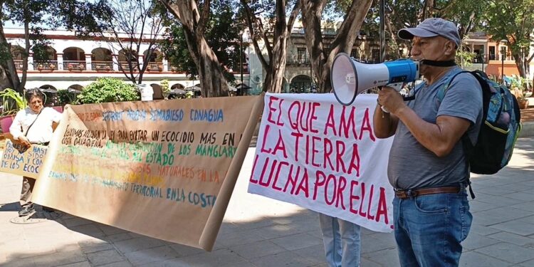 En el caso de playa Aragón piden que se evite el ecocidio en las más de 5 hectáreas que se han empezado a lotificar.
