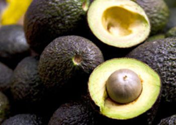 Foto: Archivo El Imparcial // La venta de aguacate, por pieza, es un lujo adquirir un kilo.