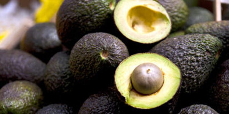 Foto: Archivo El Imparcial // La venta de aguacate, por pieza, es un lujo adquirir un kilo.