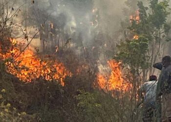 Foto: Raúl Laguna // La temporada de incendios también se perfila muy dañina para este año.