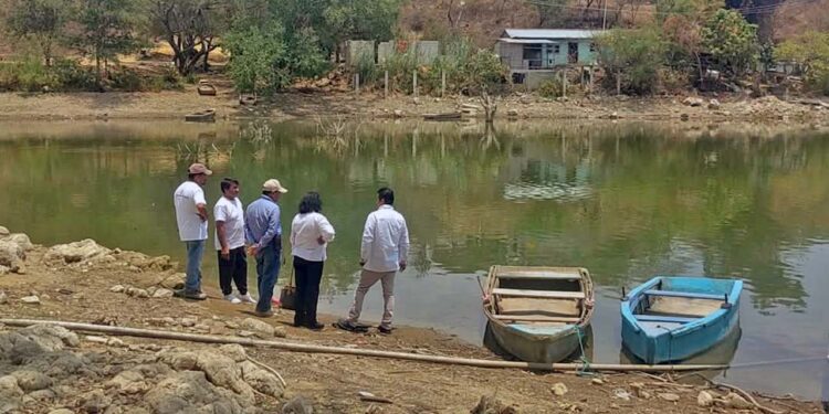 Se llevó a cabo un recorrido por el lugar, con la finalidad de constatar el crecimiento de los peces.