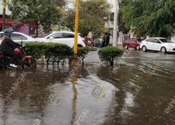 El drenaje resultó rebasado por la basura, lodo, piedras y tierra.