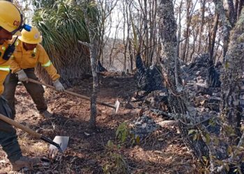 Foto: Gobierno de Oaxaca // Intenso combate al fuego en la zona de Santa Cruz Xitla.