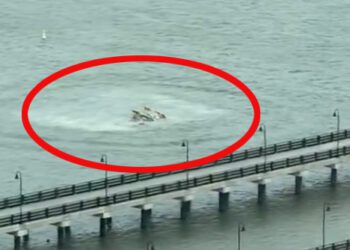 VIDEO | Helicóptero se estrella en el río Hudson; reportan seis muertos