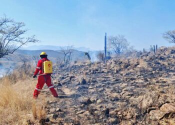 Controlan incendio, pero este ya había consumido 11 hectáreas.