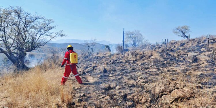 Controlan incendio, pero este ya había consumido 11 hectáreas.