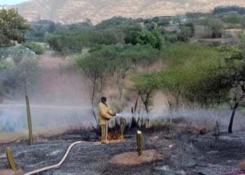 Controlan incendio a un costado del panteón en agencia El Molino.