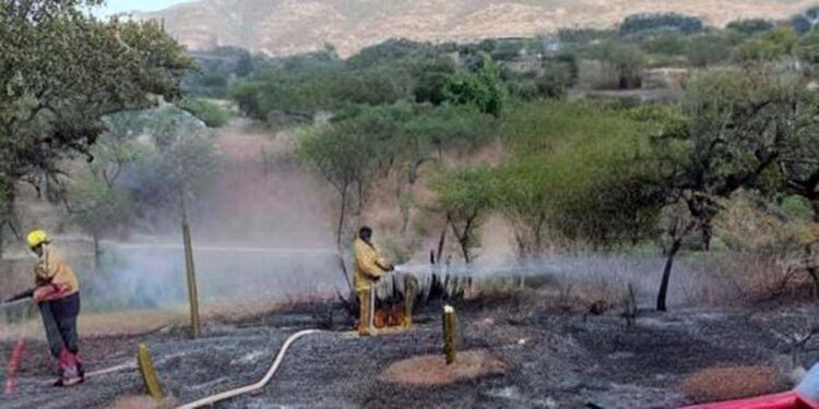 Controlan incendio a un costado del panteón en agencia El Molino.