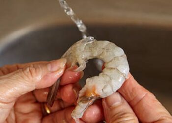 ¿Por qué es importante limpiar los camarones?