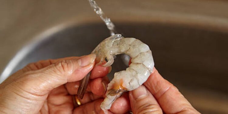 ¿Por qué es importante limpiar los camarones?