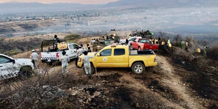 Foto: Gobierno de Oaxaca // Combatientes hacen frente al incendio forestal en Santo Domingo Tomaltpec.