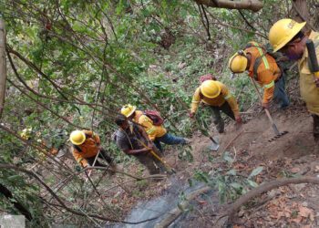 Oaxaca con 8 incendios activos