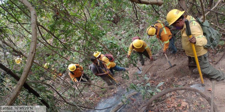 Oaxaca con 8 incendios activos