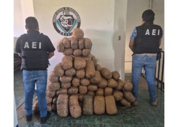¡Golpe al narco en Oaxaca! Decomisan 110 kilos de mariguana en los Valles Centrales