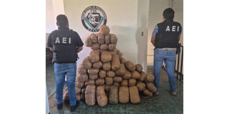 ¡Golpe al narco en Oaxaca! Decomisan 110 kilos de mariguana en los Valles Centrales