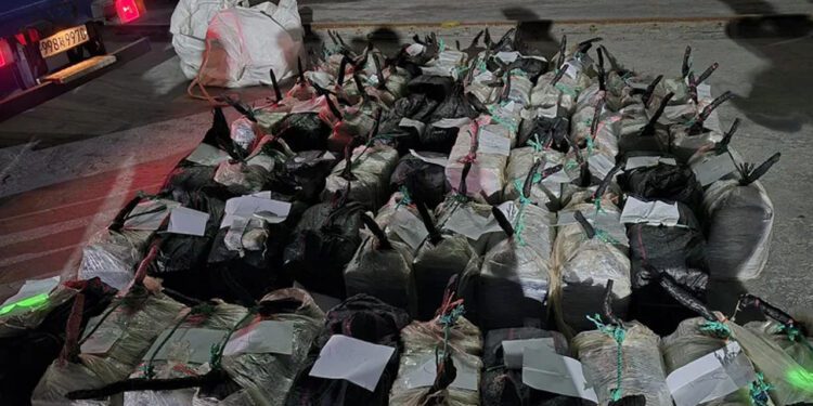 Decomiso histórico de coca para Corea; buque salió de México