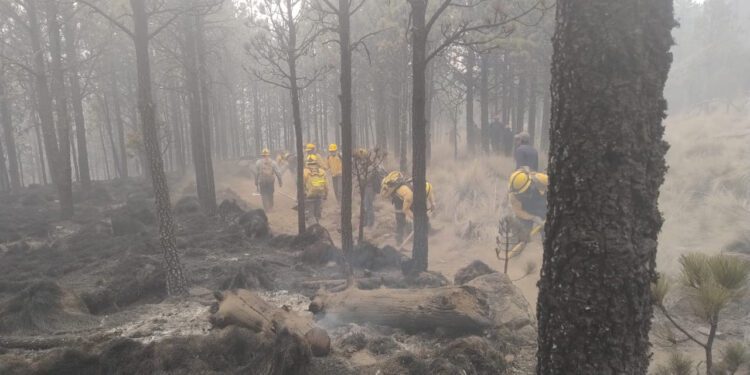 Arden 52,556 ha. en  incendios forestales