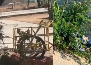 Doble ejecución en el CECYTE en La Venta, Juchitán, desata pánico entre estudiantes