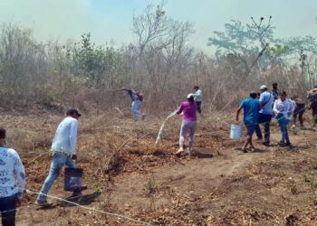 El fuego amenaza a comunidades como Santa María Limón, San Isidro Apamgo, El Tololote y San Miguel Figueroa; van 2 mil hectáreas calcinadas.