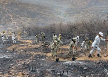 Foto: cortesía // Elementos de Defensa participan activamente para sofocar incendios.