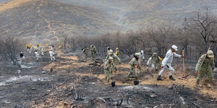 Foto: cortesía // Elementos de Defensa participan activamente para sofocar incendios.