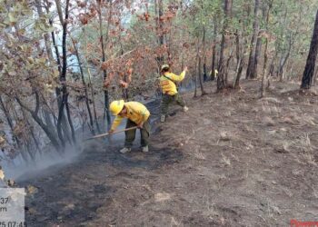 Foto: Gobierno de Oaxaca // Esta semana se multiplicaron los incendios en la zona metropolitana de la Ciudad de Oaxaca.