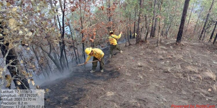 Foto: Gobierno de Oaxaca // Esta semana se multiplicaron los incendios en la zona metropolitana de la Ciudad de Oaxaca.