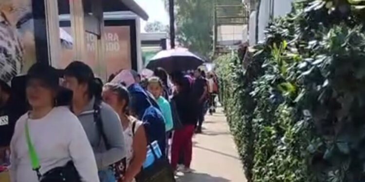 Cientos de mujeres indígenas arribaron desde la madrugada junto con sus hijos y familiares desde poblaciones alejadas.