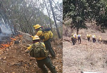 Un incendio diario en 2025; 121 en los primeros 4 meses