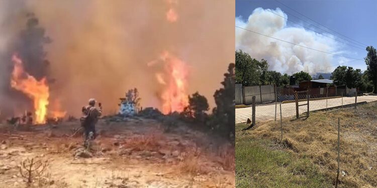 VIDEO | ¡Infierno en la Sierra Sur! Bosques devastados y sin recursos para sofocar las llamas