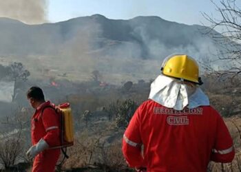 Incendio forestal consume más de 300 hectáreas en Huajolotitlán.