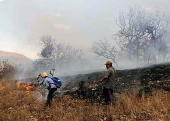 Foto: ilustrativa // El incendio se encuentra en los parajes Río Metate y Llano Nopal, en el municipio de Santiago Juxtlahuaca.