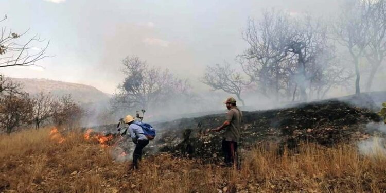 Foto: ilustrativa // El incendio se encuentra en los parajes Río Metate y Llano Nopal, en el municipio de Santiago Juxtlahuaca.