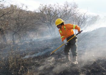 La Coesfo exhortó a la población en general a evitar el uso del fuego en el campo, así como la quema de basura cerca de zonas con cobertura vegetal o forestal.