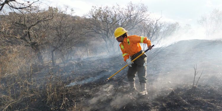 La Coesfo exhortó a la población en general a evitar el uso del fuego en el campo, así como la quema de basura cerca de zonas con cobertura vegetal o forestal.