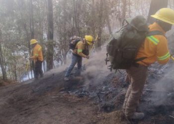 La Coesfo reportó la extinción en un 95 por ciento del incendio forestal.