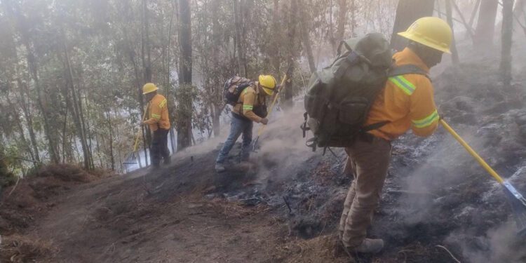 La Coesfo reportó la extinción en un 95 por ciento del incendio forestal.