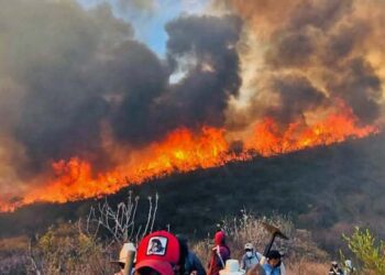 Foto: Coesfo // Incendio forestal en Santiago Ixtaltepec, perteneciente al municipio de Teotitlán del Valle.