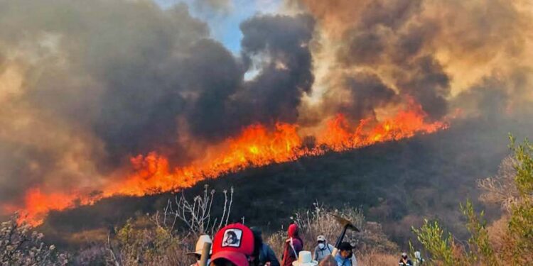 Foto: Coesfo // Incendio forestal en Santiago Ixtaltepec, perteneciente al municipio de Teotitlán del Valle.