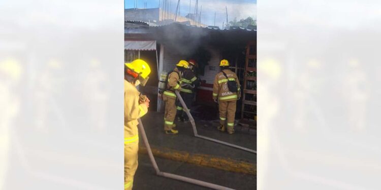 Los bomberos lograron controlar el siniestro.
