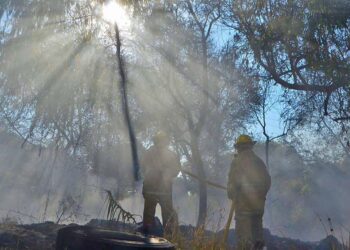 Foto: Adrián Gaytán // La basura acumulada, la actividad humana y el calor de esta temporada han provocado numerosas conflagraciones en los últimos 15 días.