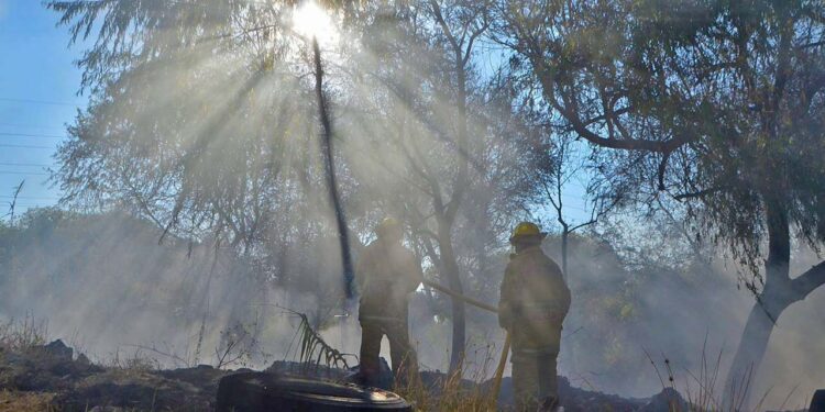 Foto: Adrián Gaytán // La basura acumulada, la actividad humana y el calor de esta temporada han provocado numerosas conflagraciones en los últimos 15 días.