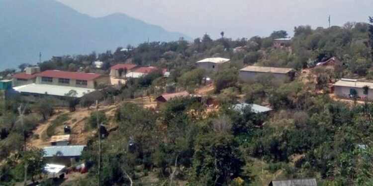 Los vecinos permanecen en alerta, ya que se sospechan que el agresor está escondido en la zona.